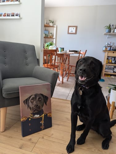 Turn Your Pet Into A Royal Legend