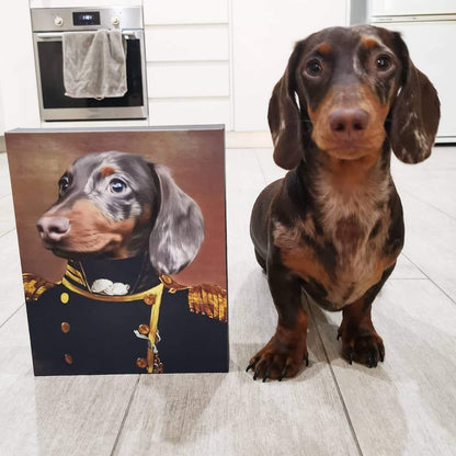 Turn Your Pet Into A Royal Legend