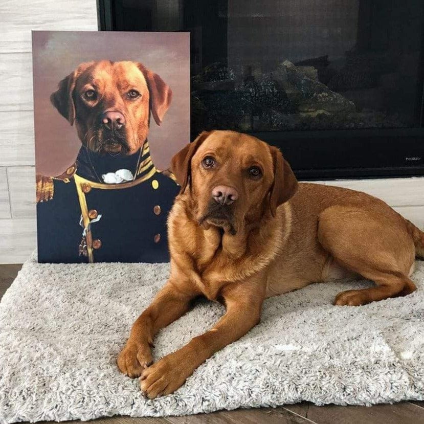 Turn Your Pet Into A Royal Legend