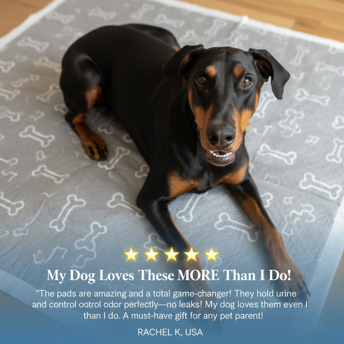 3 Pack NovaPaw Pup Pad
