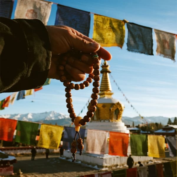 Fu Mala Bracelets – Bodhi Seeds Blessed to Cultivate Fortune