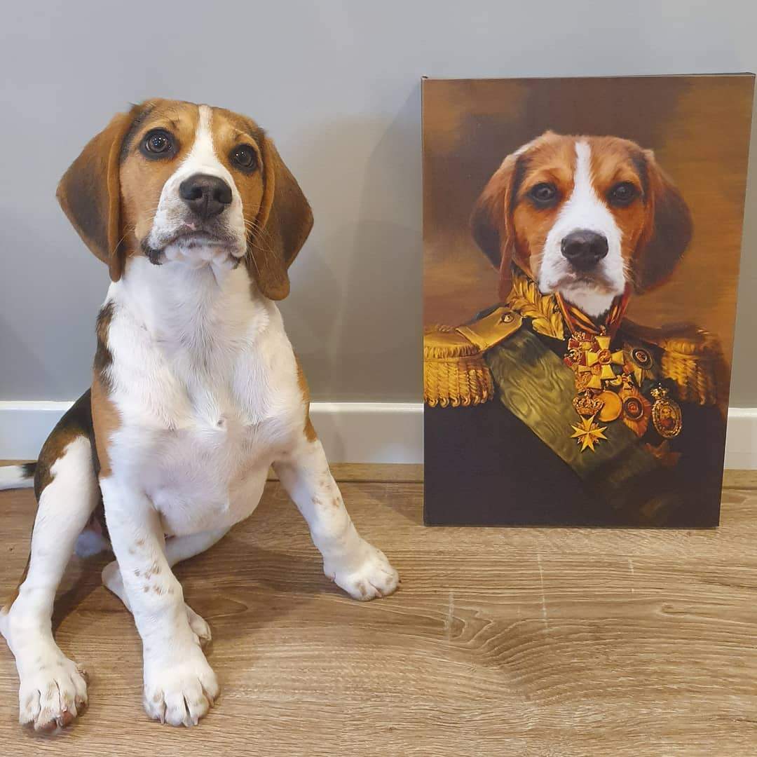 Turn Your Companion Into A Royal Legend